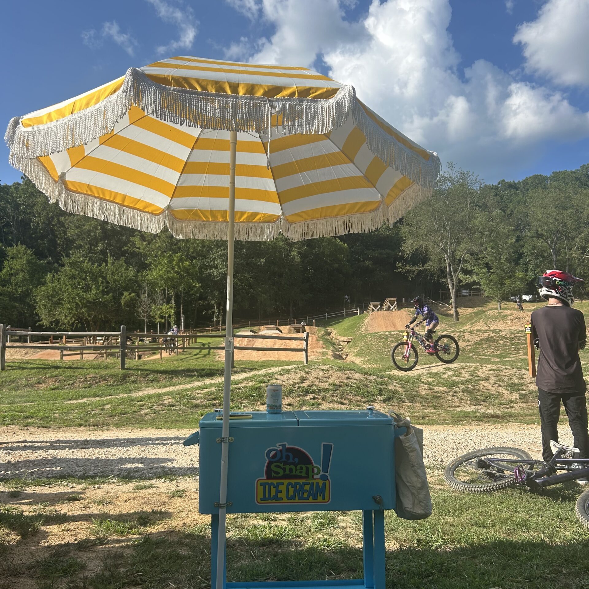 bluepushcart bluepushcart
